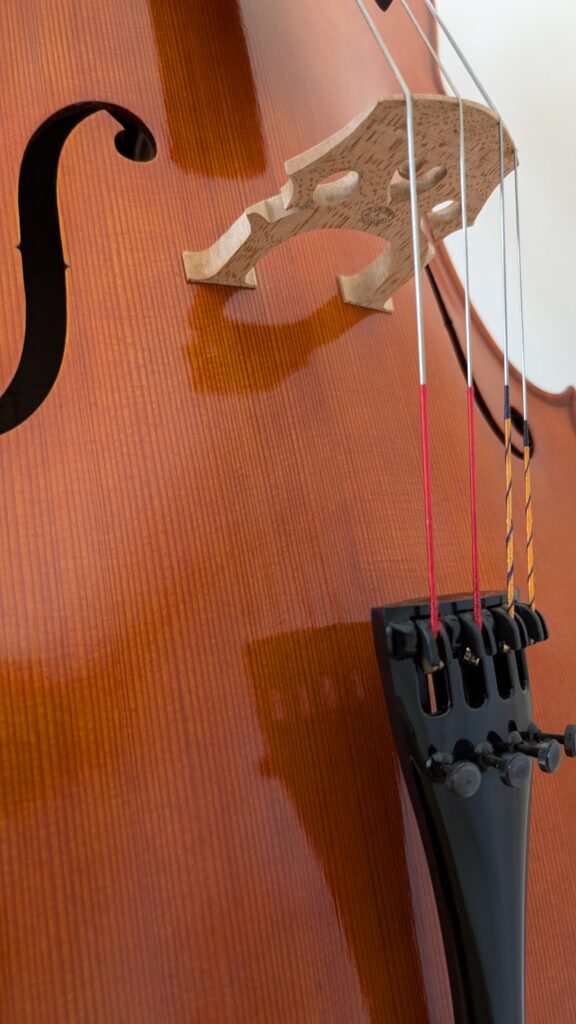 Fabrizio Ragazzi ファブリッチオ・ラガッツィ 2011年製